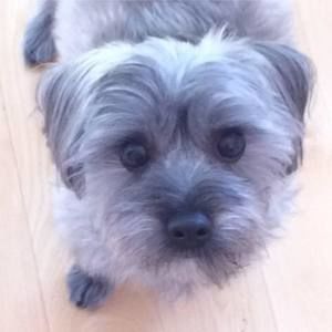 Meet your Posher, Eun